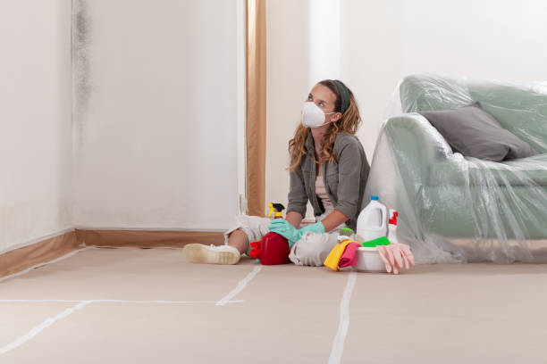 Reliable Mold Removal contractor in Crownsville, MD by WQB Mold Removal